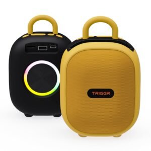 Roar 12 Portable Bluetooth Speaker, 12W Deep Bass, 8H Playtime, Type-C Fast Charging, BT v5.3, TWS Stereo Pairing, FM Radio, USB/SD Card, Handsfree with Built-in Mic (Midnight Sun)